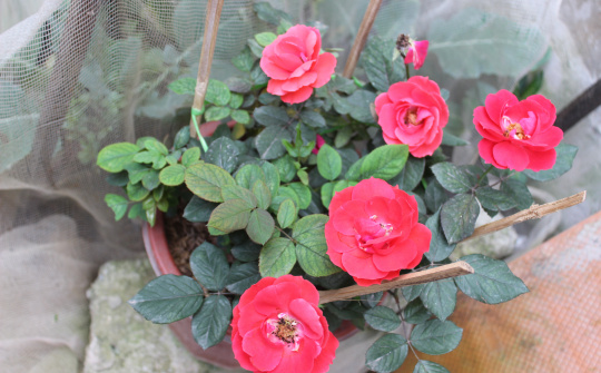 Mỗi mái ấm, thấm tình người